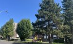 Appartement T4 85m² 63780 ST GEORGES DE MONS - Image 3