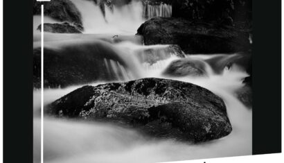 Exposition 