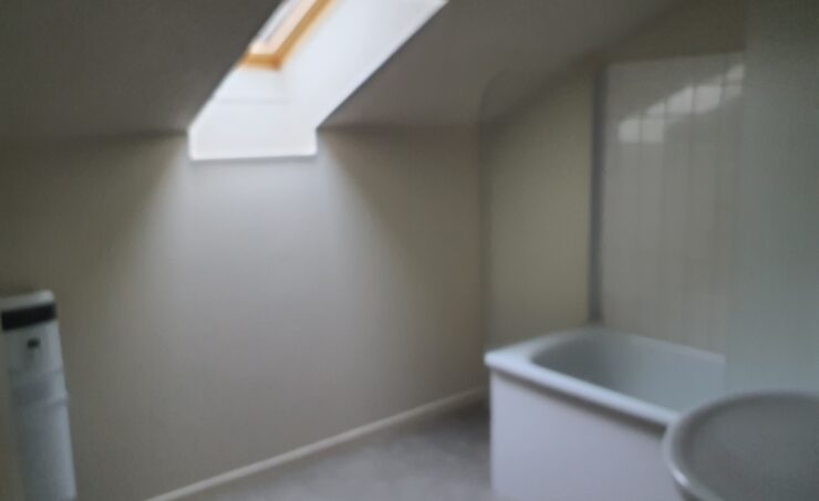 Appartement T5 et + 123m² 63600 AMBERT - Image 4