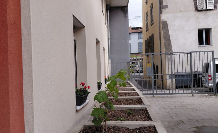 Appartement T3N°17 Résidence St Cirgues - Image 1
